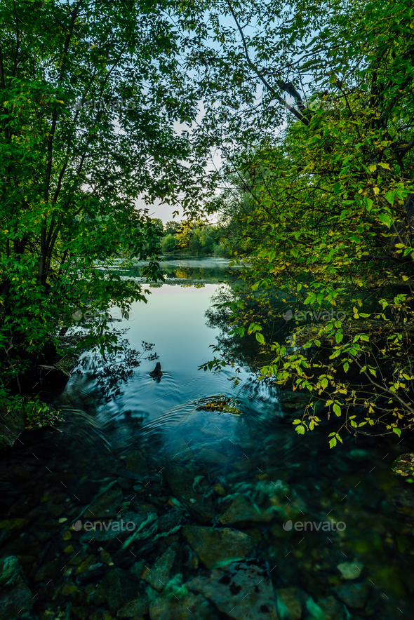 Blue little river in forest Stock Photo by Seva_blsv | PhotoDune