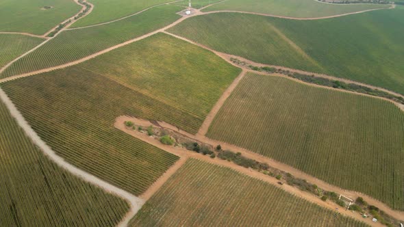 Downhill turn over a vineyard in the Leyda Valley, Chile on a foggy morning. alt