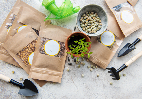 Microgreen seeds in paper bags and microgreen sowing equipment on the table. Healthy food.