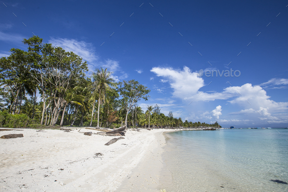 The beautiful beaches with white sand and its palm trees on Mantanani ...