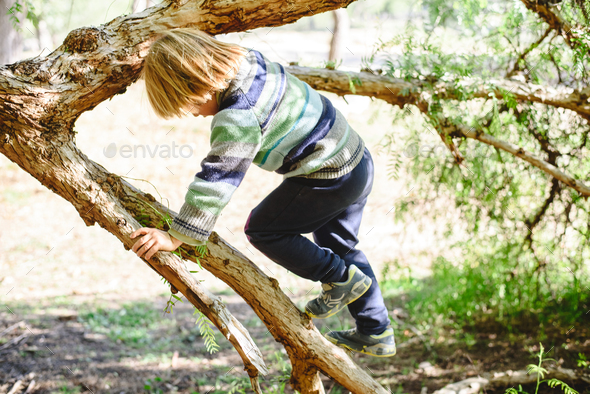 Blond boy trying to climb a tree to overcome fears and develop his confidence.