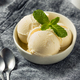 Homemade Frozen Vanilla Ice Cream - PhotoDune Item for Sale