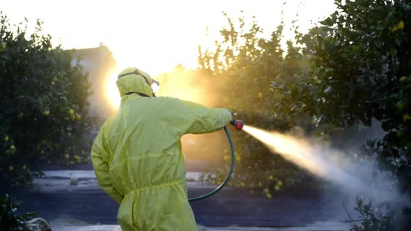 Farm worker spraying pesticide and insecticide on protective suit at lemon trees plantation  alt