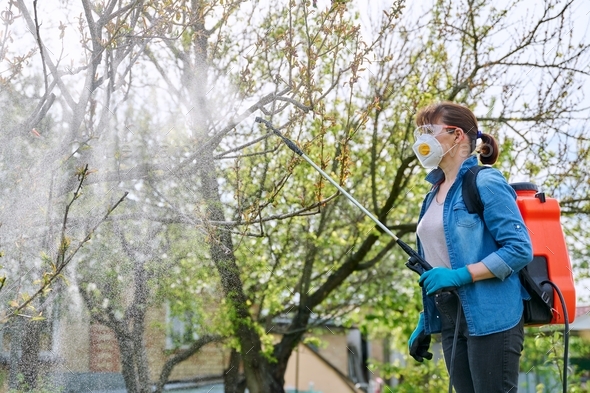 Woman with backpack garden spray gun under pressure handling peach tree