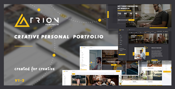 Special Trion - Creative Responsive Personal Agency Portfolio