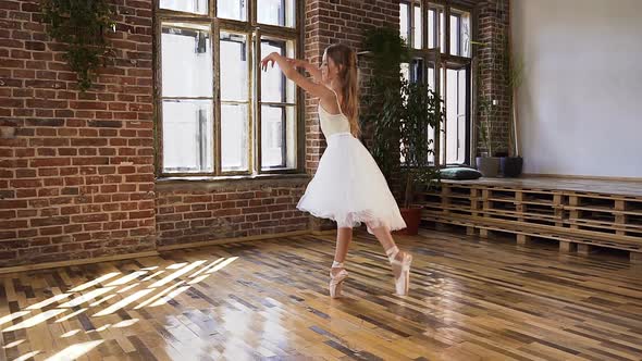 Professional, Classic Ballerina Practices Ballet Moves alt