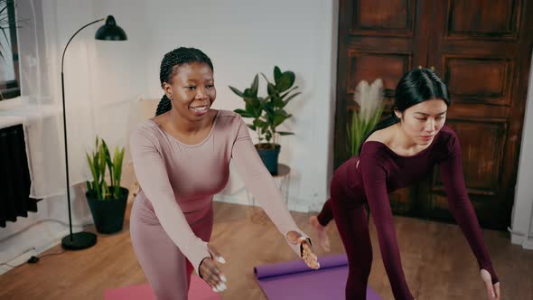 Domestic Sports Training alt