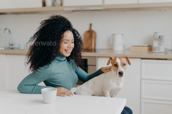 Playful woman with Afro haircut, pets her breed dog, have fun together, pose in cozy kitchen.