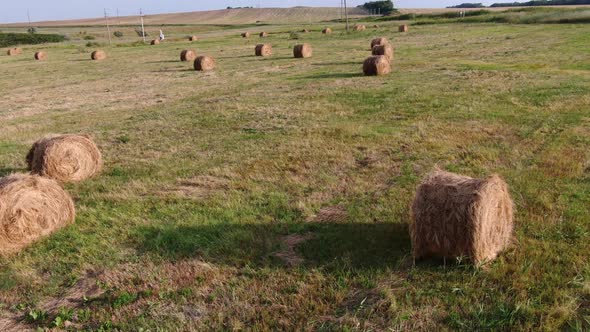Beautiful Rural Landscape with Rolls of Hay on Agricultural Wheat Field