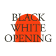 BLACK&amp;WHITE OPENING - VideoHive Item for Sale