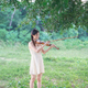 violin - PhotoDune Item for Sale