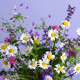 Beautiful summer bouquet - PhotoDune Item for Sale
