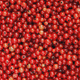 Harvest of fresh redcurrants ( Ribes rubrum ) - PhotoDune Item for Sale