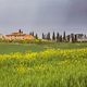 Yellow flowers tuscan village - PhotoDune Item for Sale
