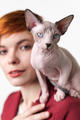 Sphynx Hairless kitten looking at camera sitting on shoulder of redhead young woman with short hair - PhotoDune Item for Sale