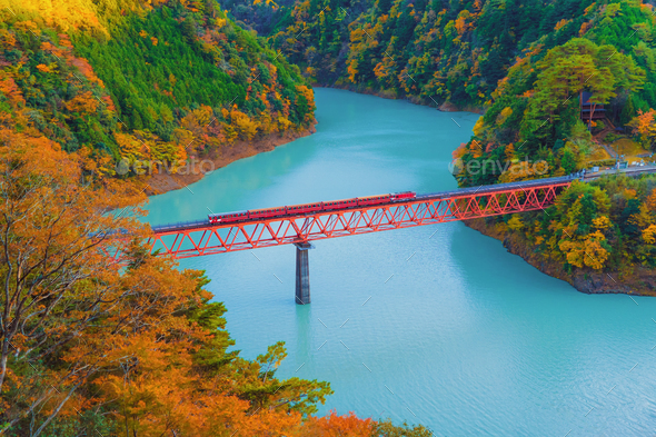 The steam train crossing Oigawa Railroad to go to station and blue ...