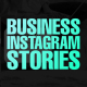 Business Instagram Stories - VideoHive Item for Sale