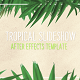 Minimal Tropical Slideshow Minimal Tropical Slideshow - VideoHive Item for Sale