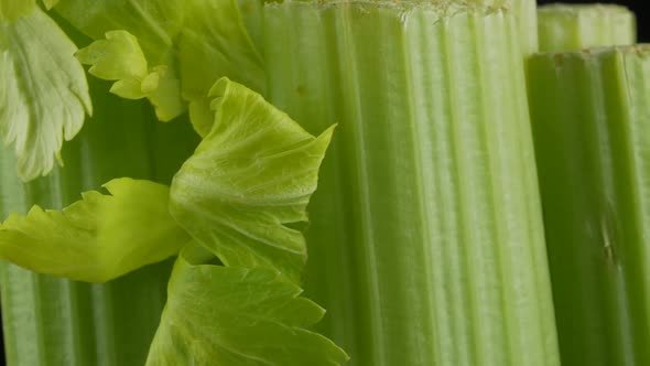 Nice shaped fresh celery with leaves