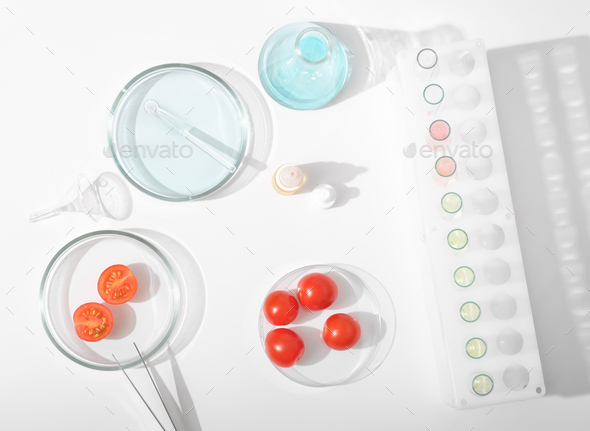 tomatoes in a petri dish on a laboratory table. lab glassware, test tubes