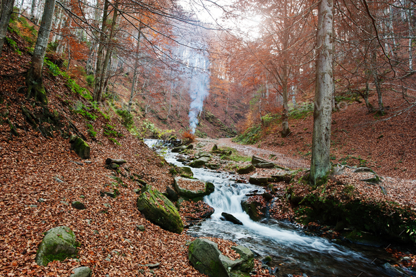 Mountain river rapids at autumn majestic forest with fallen leaves and smoke of fire