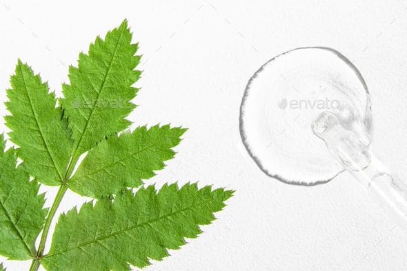 Transparent cosmetic liquid on a white background with a large green leaf of a plant, eco cosmetics.