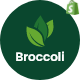 Broccoli - Organic Food Store Shopify Theme