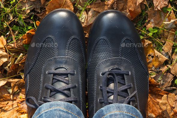 Navy blue leather shoes on grass with autumnal leaves Stock Photo by ...