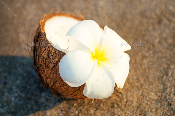 Coconut fruit and white flower plumeria on the white sand beach background