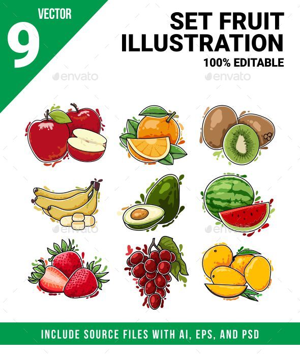 Set of Fruit Illustration