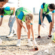 Young volunteers wearing uniform at beach shore cleaning activity from trash garbage - PhotoDune Item for Sale