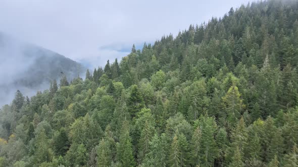 Aerial View of the Carpathian Mountains in Autumn. Ukraine alt
