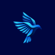 Freeze Eagle Gradient Logo Template