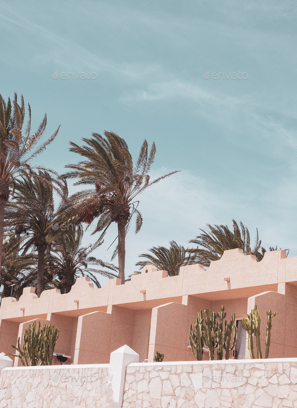 Stylish tropical location. Cactus and palm resort. Canary Island. Travel concept - Stock Photo - Images