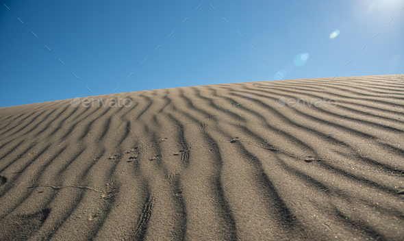 Sand dunes against blue sky. Desert dry coast land Cyprust land Cyprus