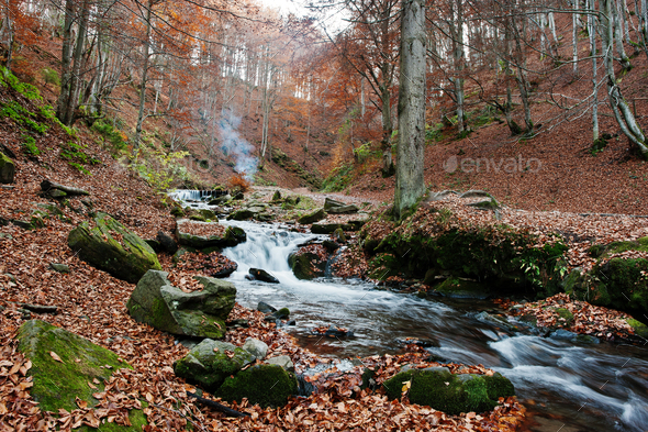 Mountain river rapids at autumn majestic forest with fallen leaves and smoke of fire