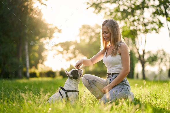 Young smiling woman training french bulldog in park.