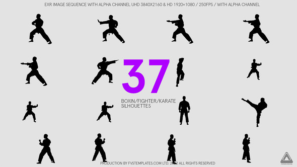 37 Karate / Boxing / Fighter Slow Motion Silhouettes