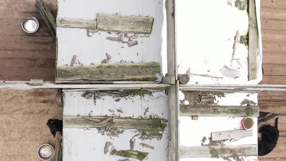 Aerial View of a Shelter for Stray Dogs alt