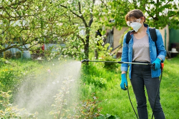 Woman with backpack garden spray gun under pressure handling bushes roses