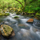 A stream flows between gneiss and granite rocks and oak forests - PhotoDune Item for Sale