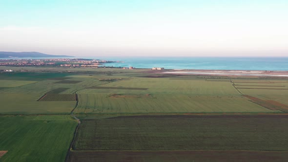 Fields And Sea