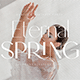Eternal Spring | Elegant Sans Family