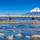 Bullet train passing Mount Fuji and the Fujikawa bridge, Shizuoka, Japan - PhotoDune Item for Sale