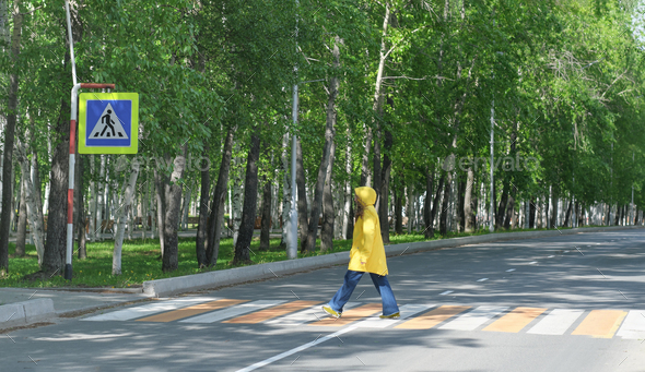 Teenager girl wearing yellow rain jacket comes across the street. Traffic rules, crosswalk road sign
