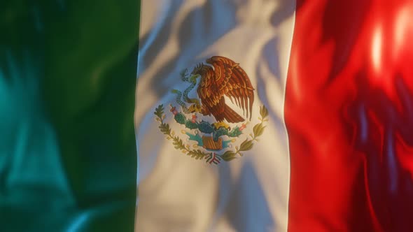 Mexico Flag with Edge Bump