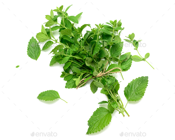 Mint, Fresh, Sold in bunches 