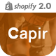 Capir - Ceramics & Pottery Decor Responsive Shopify Theme