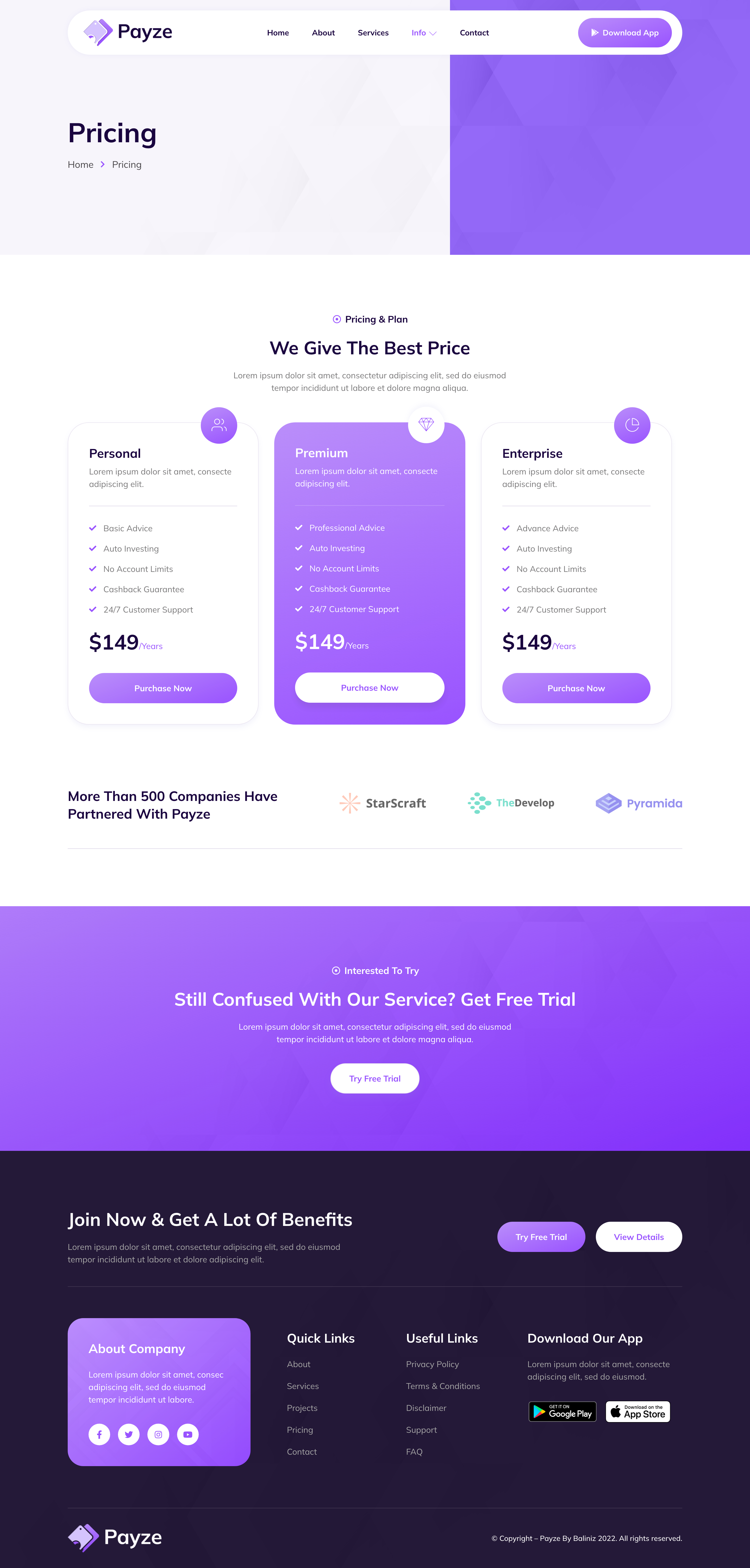 Payze – Online Payment Gateway & E-Wallet Elementor Template Kit by baliniz