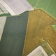 Agricultural landscape with different crops - PhotoDune Item for Sale